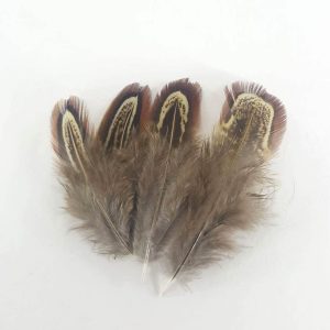 Small brown feathers